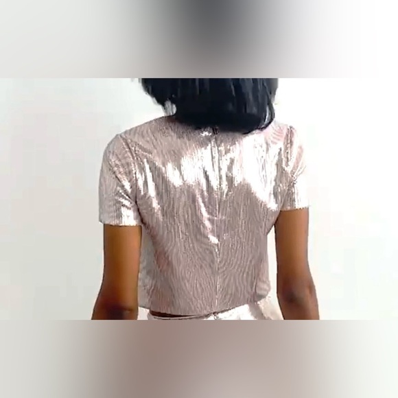 Michael Kors Sparkling Sequins Over Pink Zebra Print Sequin Crop Top - Size M - Picture 4 of 15